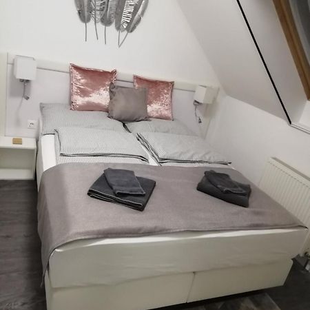 Appartement Salvus Apartman à Eger Extérieur photo
